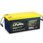 LOSSIGY 12V 300AH LiFePO4 Lithium B