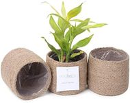 Eco Living Jute Planter Basket-Woven Jute Rope Covers for Decorating Indoor/Outdoor Succulents, Small Plant Pots-Set of 3-Multi-Purpose Storage Bins 4.5 Inches -Modern Style Decor -Natural Jute