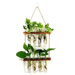 DONEMEI Hanging Propagation Station, 2 Tiered Wall Hanging Glass Planter - Indoor Hanging Test Tube Vase for Plants Flowers for Home Garden Office Decor - 8 Test Tubes