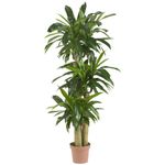 Nearly Natural 6584 Corn Stalk Dracaena Decorative Artificial Silk Plant (Green)