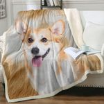 Sleepwish Sherpa Fleece Blanket Puppy Dog Plush Throw Blanket Fuzzy Soft Blanket Warm Cozy Cute Animals Blanket,Welsh Corgi,Throw (50" X 60")