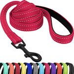 CollarDirect Nylon Dog Leash 5ft for Daily Outdoor Walking Running Training Heavy Duty Reflective Pet Leashes for Large, Medium & Small Dogs (Pink, Medium)