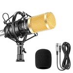 Neewer NW-800 Professional Studio Condenser Microphone Set, Black