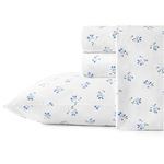 Stone Cottage - Twin Sheets, Cotton Percale Bedding Set, Crisp & Cool Home Decor (Blue Sketchy Ditsy, Twin)