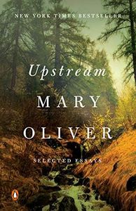 Upstream: 