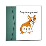 Dapofajo Congrats Card, Corgi Themed New Job Card, 8.6 x 6.1 Inches, Blank Inside, Smooth 300gsm Card, Green Envelope