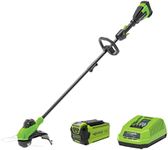 Greenworks 40V String Trimmer 13 Inch Kit with 2Ah Battery and Charger, Multicolor