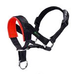 ILEPARK Dog Head Collar with Padded Fabric, Head Harness for Dogs, Anti pulling Head Halter Collar, Adjustable and Easily Control (M,Red)