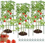 MYMULIKE Tomato Cages for Garden, 3