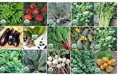 Organic Vegetable Seeds 15 Variety Pack Canada - Non GMO, Heirloom Seeds for Planting