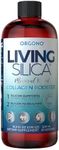 Orgono Living Silica Collagen Boost