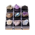Erliway Natural Crystals Minerals Specimens Sets, 9 Pcs Raw Stone Collections with Display Box, Rock and Mineral Collections for Office Home Decor, Gemstones Specimen for Education