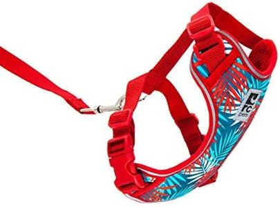 RC Pets Adventure Kitty Cat Harness, Small, Maldives