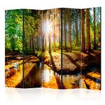 murando Decorative Room Divider Forest 225x172 cm / 89"x68" Single-Sided Folding Screen 5 Panels Room Partition Non-Woven Canvas Print Opaque Photo Display Tree Nature Sun c-B-0267-z-c