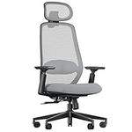 ProtoArc EC200 Ergonomic Office Chair - High Back Computer Desk Chair with 2-Way Adjustable Lumbar Support, Seat Depth & 3D Headrest, Mesh Swivel Desk Chair for Home & Office, Grey