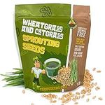 Todd's Seeds - 1 Pound of Wheatgras