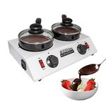 ALDKitchen Chocolate Melter | Tempering Machine | Chocolate Melting Pot | Stainless steel (Double Pot) | 110V