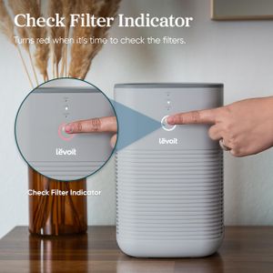 LEVOIT Dual HEPA Air Purifier – Gray