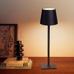 CHLORANTHUS Cordless Table Lamps, 3