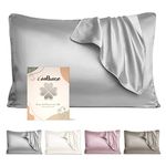 iCooBreeze 22 Momme Silk Pillowcases 100% Mulberry Silk Double Sided, Real Silk Pillow Case for Hair and Skin, Pillow Cover with Hidden Zipper (Queue Size, Silver Grey, 1 Pack)