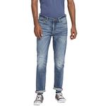 Lee Men's Skinny Jeans (LMJN000815_Distress Blue_36)