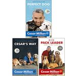 Cesar Millan 3 Books Collection Pack Set - How to Raise the Perfect Dog, Cesar's Way & Be the Pack Leader