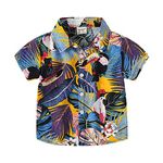 PythJooh Toddler Baby Boy Hawaiian Shirt Kids Short Sleeved Flowers Polo Shirt Beach Holiday T-Shirt Tops for 1-6Years