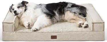 Bedsure Orthopedic Dog Bed for Extra Large Dogs - Egg Foam Dog Sofa Bed, Bolster Couch Pet Bed with Removable Waterproof Washable Cover, Comfy Plush Velvet Fluff Surface, Nonskid Bottom, Beige