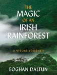 The Magic of an Irish Rainforest