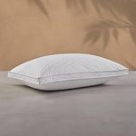 Sobel Westex: Hotel Sobella Soft Side Sleeper Pillow | Hotel and Resort Quality, 300 Thread Count 100% Dobby Cotton | Down Like Fill, Gentle Support, Plush, Queen (1 Pack)