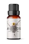 Adventurous Aventos Fragrance Oil 10ml - for Aromatherapy Wax Melt, Reed Diffuser, Candle Making, Home Made Soap, Bath Bomb, Potpourri, Slime, Oil Burner