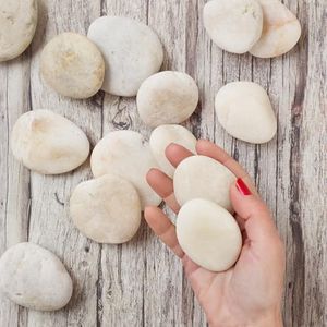 Royal Imports 5LB Decorative Stones River Pebbles Rocks for Rock Painting, Plant Gravel, Landscaping, Home Decor Natural - Large White