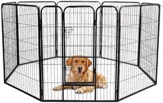 Pawz 8 Panel Fence Playpen for Dog, Size 32 Inch, Black