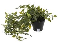 Kuber Industries Heart Home Artificial Vine;Pine;Fern;Ivy Plant with Plastic Pot(Green,1 Piece)