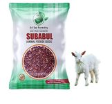 SRI SAI FORESTRY Subabul Seeds for Goat Fodder - 1 KG (Safed Babool, Soundal,Leucaena Leucocephala) Subabul Tree Seeds for Plantation and Live Fencing