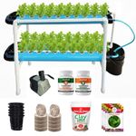 Casa De Amor 40-Plants NFT Hydroponics Kit - Complete Seed to Harvest Indoor/Outdoor System with Pump, Nutrients & Media for Home & Office Gardening, Sky Blue