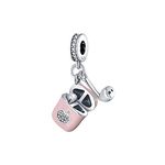 Pandach Cylinder Charm Bead fits Charms Bracelets for Woman-925 Sterling Silver Dangle Pendant Bead with Clear CZ Stones,Girl Jewelry Beads Gifts for Women Bracelet&Necklace…