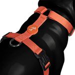 Heads Up For Tails Classic Nylon Dog H Harness - Orange - L