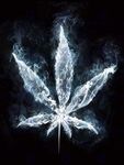 Bumblebeaver PAINTING ILLUSTRATION COOL WEED MARIJUANA SMOKE LEAF ART PRINT POSTER MP5334B