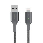 Belkin Smart LED Charging Cable USB to Lightning 4ft/1.2m (See Your Charging Status at a Glance) For iPhone, AirPods and iPad, MFi-Certified - Gray