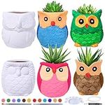 6 Sets DIY Ceramic Owl Succulent Po