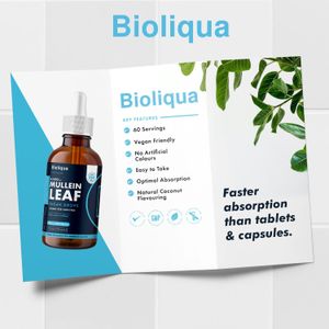 Balance Mullein Leaf Drops 60ml – Herbal Respiratory Support