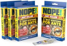 NOPE! Ant Killer Bait Station (12 x