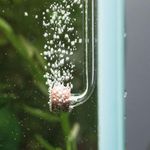 Aquario Neo Co2 Diffuser Tiny Normal