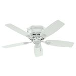 Hunter 53119 Transitional 48``Ceiling Fan from Sea Wind® Collection in White Finish,