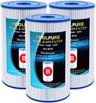 POOLPURE Type B Replacement Pool Fi