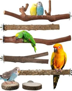 Bissap Bird Perch Stand 7PCS, Natural Grape Wood Pole Standing Parrot Cage Branch Paw Grinding Fork Parakeet Platform Hammock for Conures Budgies Finches Cockatiels Small Birds Exercise Training