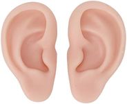 Silicone Ear Model, Left and Right 