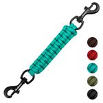 PetBonus Dog Collar Safety Clip, Handmade Backup Safety Strap for Dog Harness, Double Ended Clasp Leash Connector (Turquoise)