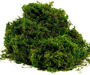 BYHER Artificial Moss Fake Green Grass for Centerpieces Home Kitchen Garden Decor (8OZ, Fresh)